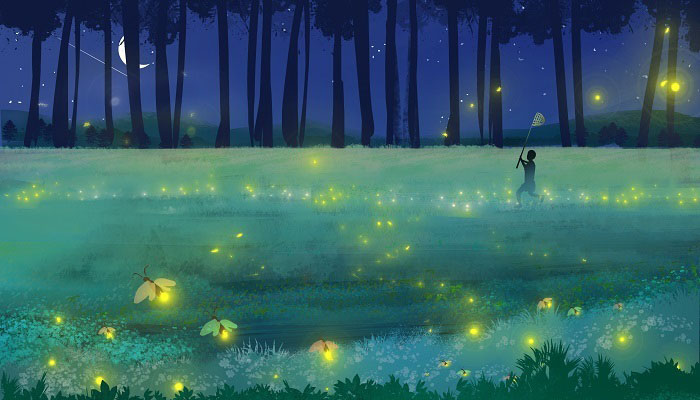 小暑和芒种之间是什么节气 芒种和小暑是什么季节