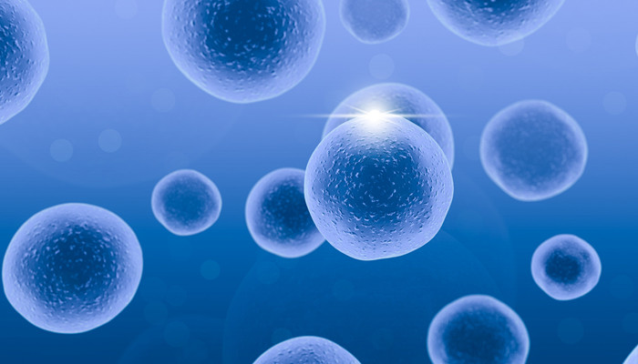 细胞学说的内容是什么 细胞学说的具体内容是什么