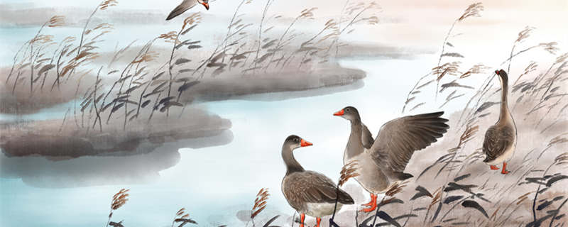 关于白露节气的古诗 关于白露的节气的古诗