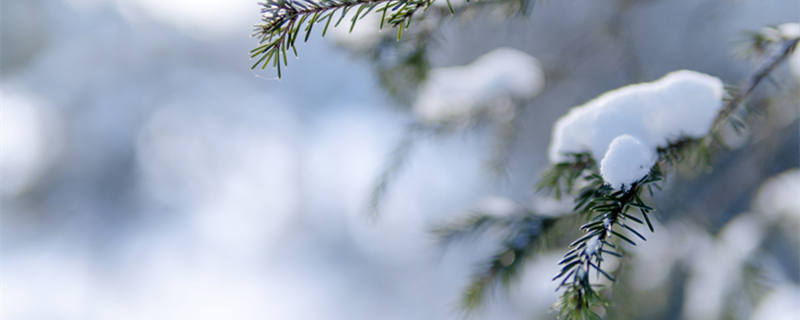 关于冬至的诗句古诗 关于冬至的诗句古诗大全