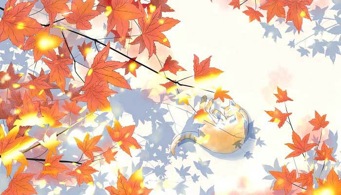 2021年立秋是哪一天 2021年立秋是哪一天开始