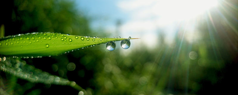 白露的古诗 白露的古诗有哪些