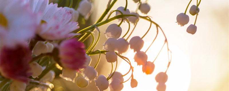 描写立春节气的古诗 描写立春节气的古诗词