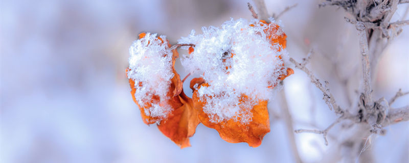 关于冬至的诗 关于冬至的诗词