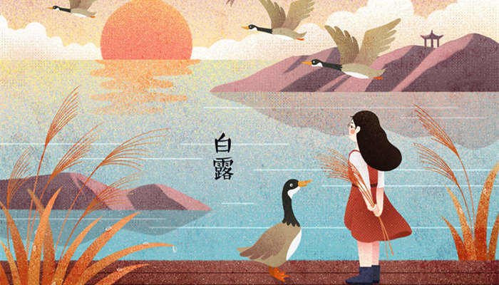 关于白露节气的古诗 关于白露的节气的古诗