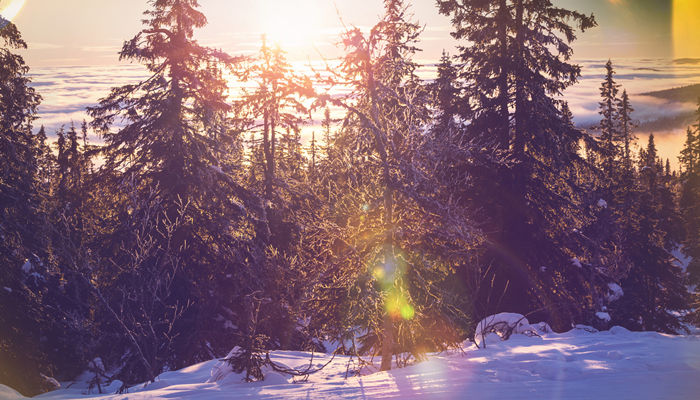 关于冬至的诗句古诗 关于冬至的诗句古诗大全