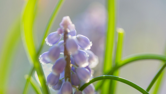 描写立春的古诗 描写立春的古诗有哪些