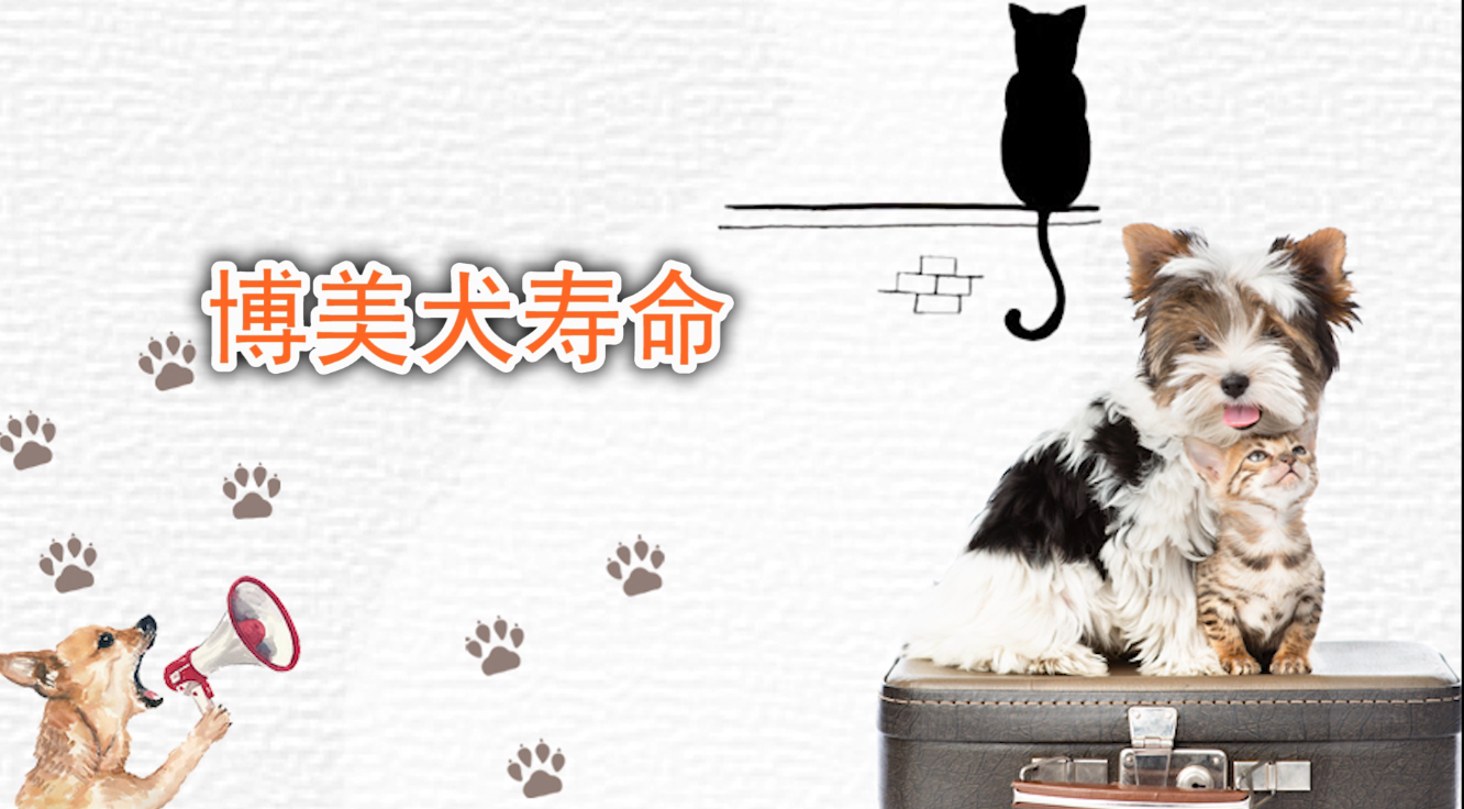 博美犬的寿命 博美犬的寿命是多少年的