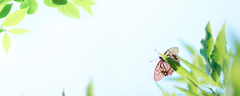 立春是什么时候 立春是什么时候的