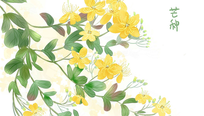 2022芒种是几月几日 2022几月几日芒种