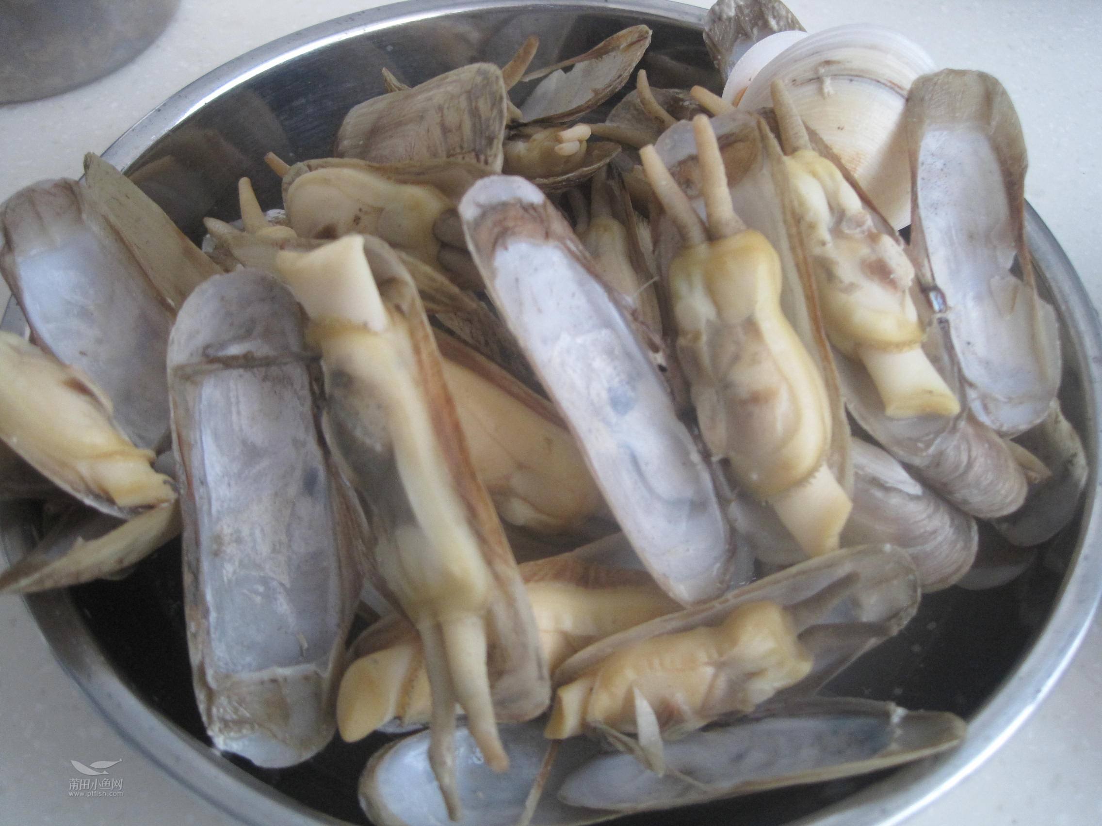 蛏子壳是什么垃圾 蛏子壳是什么垃圾深圳