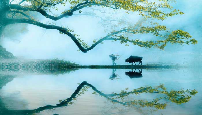 关于二十四节气春分的古诗 关于二十四节气春分的诗句