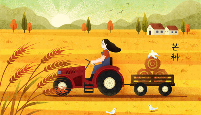 芒种是什么节气 芒种是什么节气中的