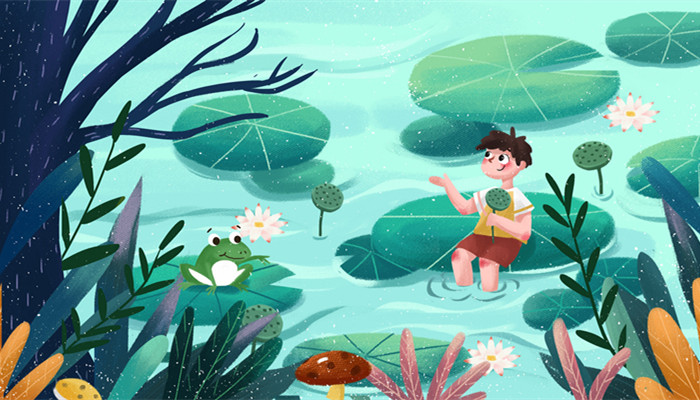 夏至吃什么养生 夏至吃什么好养生