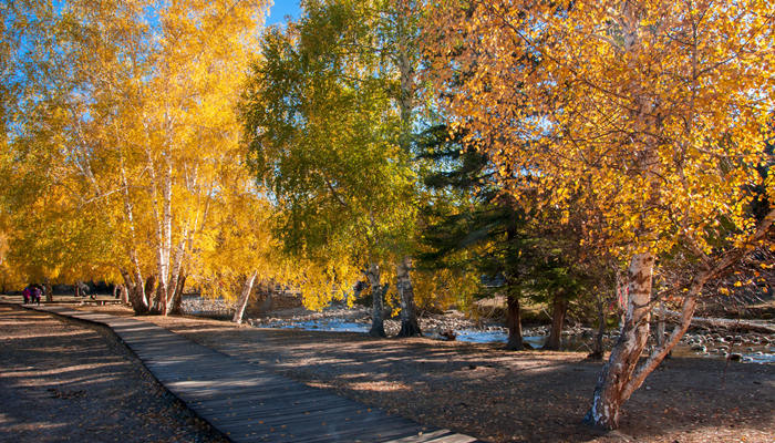 可可托海是什么意思 可可托海是什么意思中文