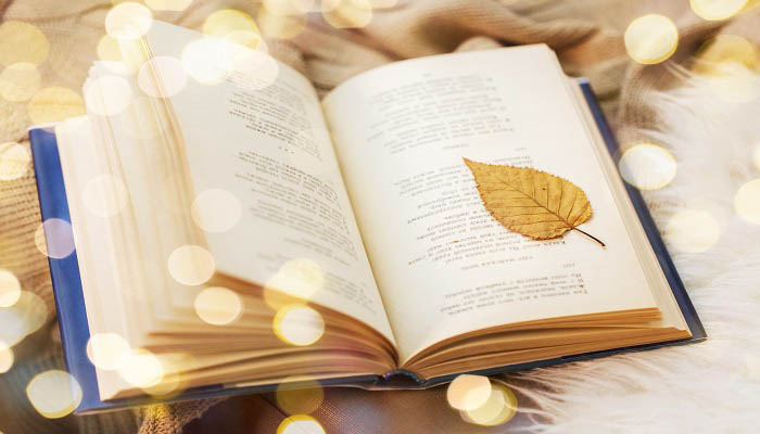 蝈蝈与蛐蛐 蝈蝈与蛐蛐原版