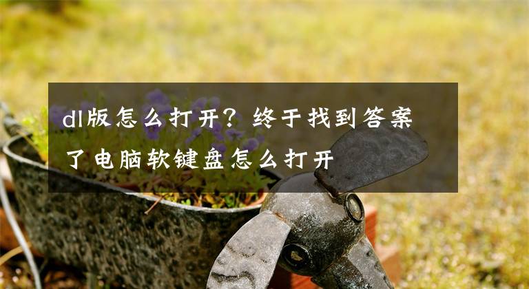 dl版怎么打开？终于找到答案了电脑软键盘怎么打开