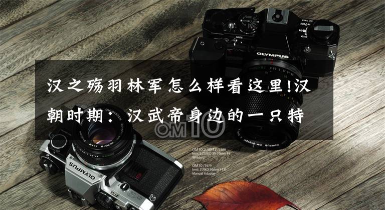 汉之殇羽林军怎么样看这里!汉朝时期:汉武帝身边的一只特殊部队“羽林军”