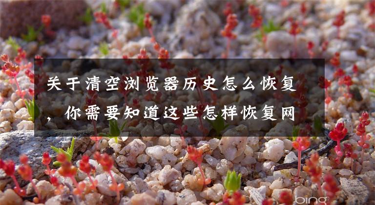 关于清空浏览器历史怎么恢复，你需要知道这些怎样恢复网页