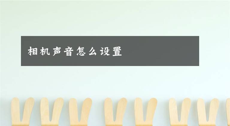 相机声音怎么设置