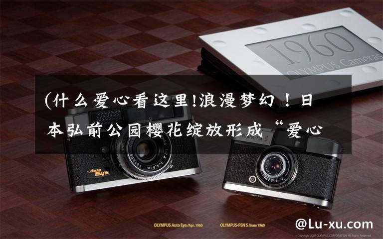 (什么爱心看这里!浪漫梦幻！日本弘前公园樱花绽放形成“爱心”形状