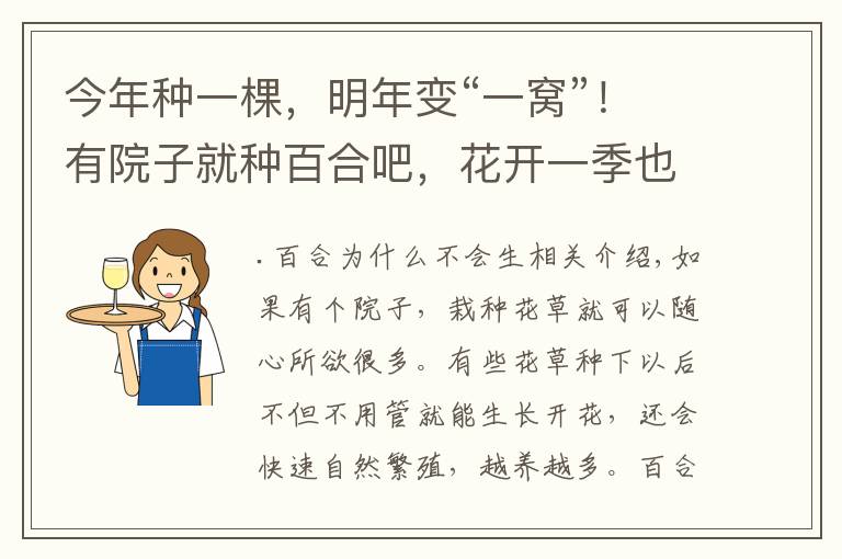 今年种一棵,明年变“一窝”!有院子就种百合吧,花开一季也很值