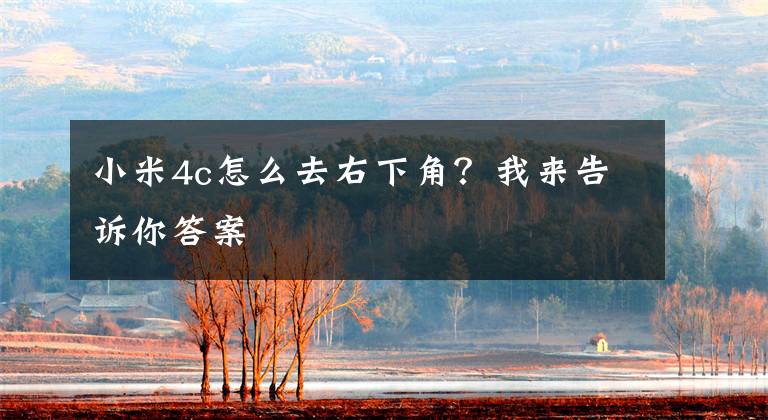 小米4c怎么去右下角？我来告诉你答案