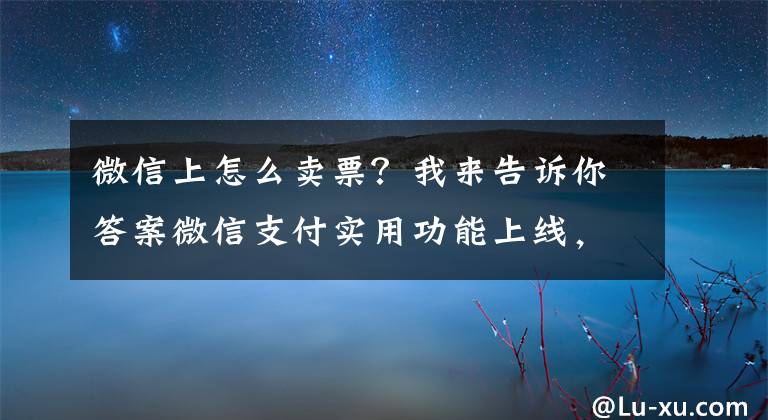 微信上怎么卖票？我来告诉你答案微信支付实用功能上线，商超购物省心多了