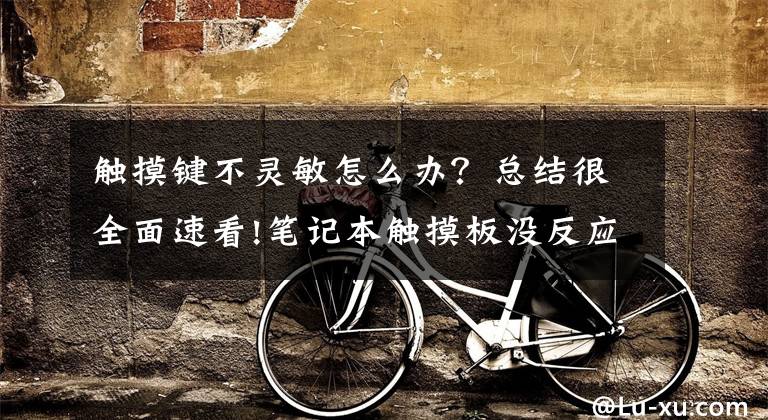 触摸键不灵敏怎么办？总结很全面速看!笔记本触摸板没反应怎么回事