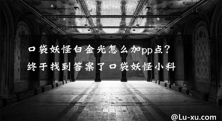 口袋妖怪白金光怎么加pp点？终于找到答案了口袋妖怪小科普③：努力值