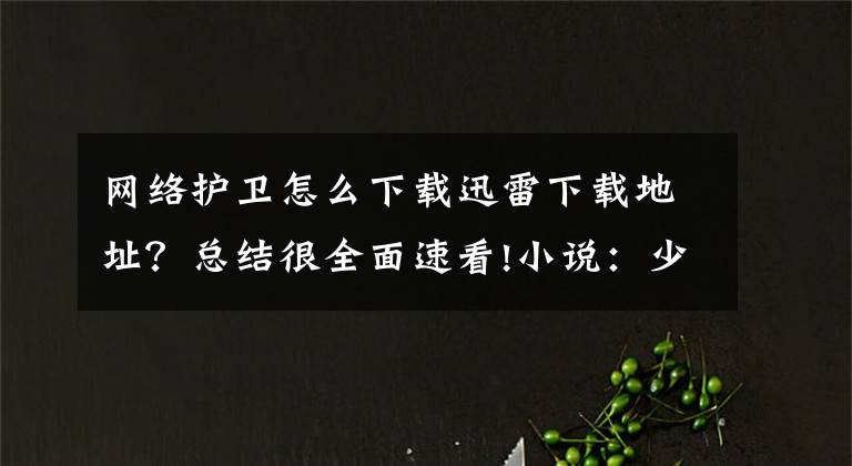 网络护卫怎么下载迅雷下载地址？总结很全面速看!小说：少年才十六岁，却战力无双，一巴掌将炼法境强者打成重伤