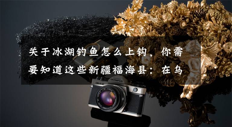 关于冰湖钓鱼怎么上钩，你需要知道这些新疆福海县：在乌伦古湖上“踏雪寻鱼”