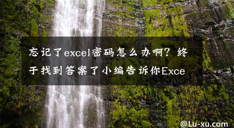 忘记了excel密码怎么办啊?终于找到答案了小编告诉你Excel忘记密码怎么打开?Excel破解密码方法