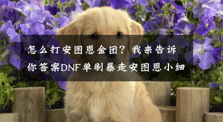 怎么打安图恩金团？我来告诉你答案DNF单刷暴走安图恩小细节 教你如何通关