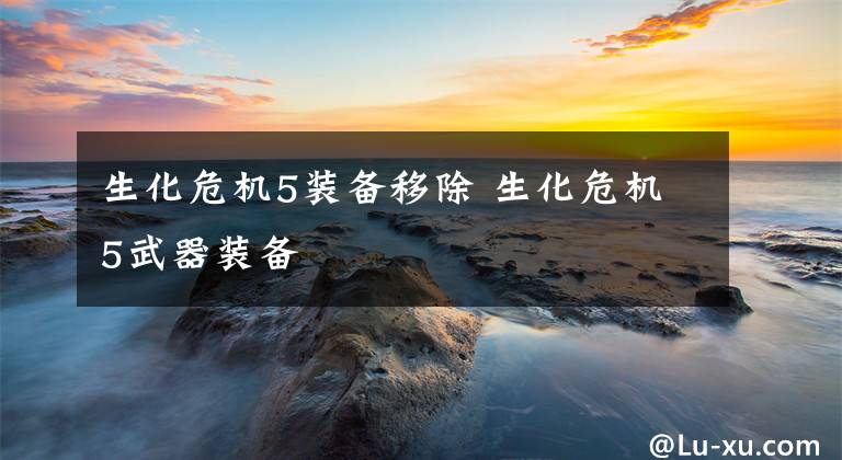 生化危机5装备移除 生化危机5武器装备