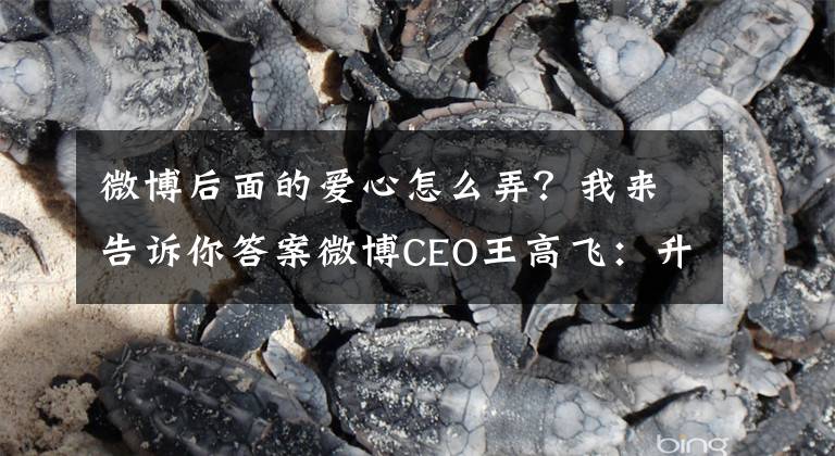 微博后面的爱心怎么弄?我来告诉你答案微博CEO王高飞:升级公益计划 为共同富裕助力