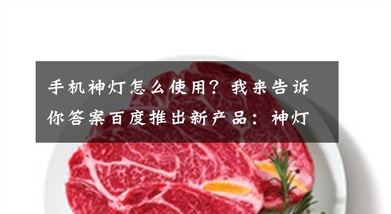 手机神灯怎么使用?我来告诉你答案百度推出新产品:神灯搜索,改变上网方式的搜索引擎