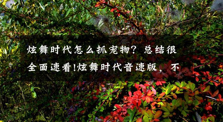 炫舞时代怎么抓宠物？总结很全面速看!炫舞时代音速版，不断为玩家增加好玩新元素