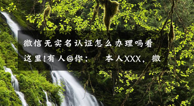 微信无实名认证怎么办理吗看这里!有人@你:本人XXX,微信好友必须要实名制
