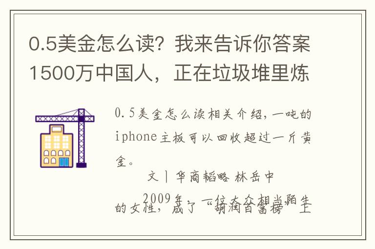 0.5美金怎么读?我来告诉你答案1500万中国人,正在垃圾堆里炼金