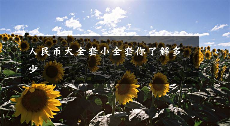 人民币大全套小全套你了解多少