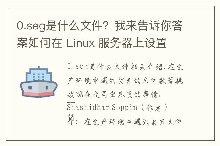 0.seg是什么文件?我来告诉你答案如何在 Linux 服务器上设置 ulimit 和文件描述符数限制