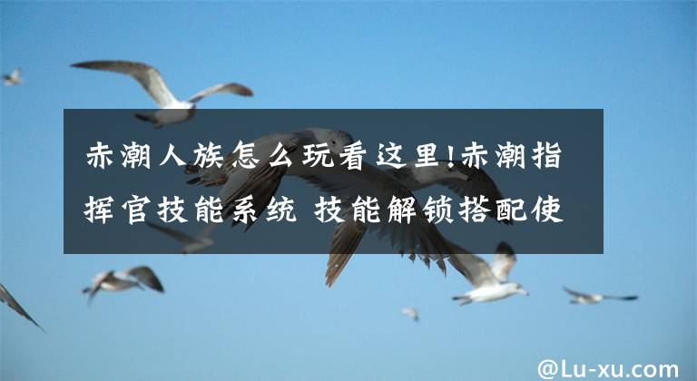 赤潮人族怎么玩看这里!赤潮指挥官技能系统 技能解锁搭配使用