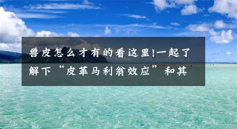 兽皮怎么才有的看这里!一起了解下“皮革马利翁效应”和其诞生地塞浦路斯