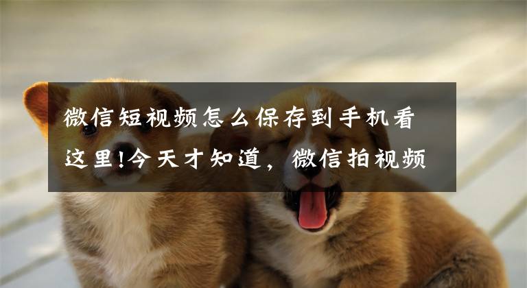 微信短视频怎么保存到手机看这里!今天才知道，微信拍视频能添加字幕，太简单了，一看就能学会