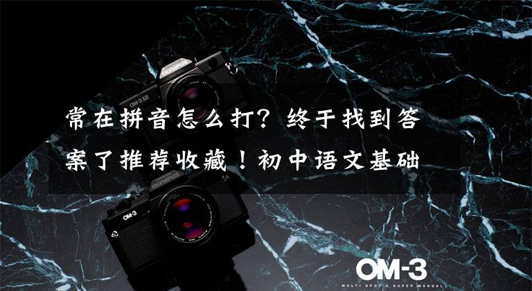 常在拼音怎么打?终于找到答案了推荐收藏!初中语文基础知识归纳整理——词语释义(八下)