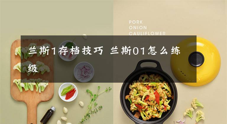 兰斯1存档技巧 兰斯01怎么练级