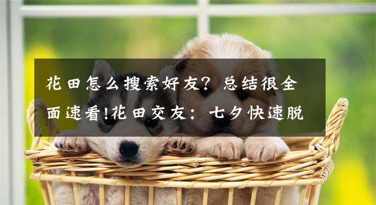 花田怎么搜索好友？总结很全面速看!花田交友：七夕快速脱单交友，单身狗不怕虐