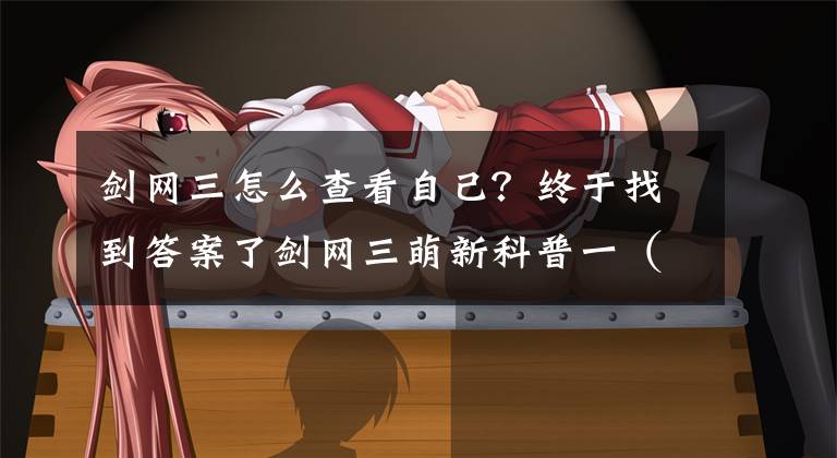 剑网三怎么查看自己？终于找到答案了剑网三萌新科普一（基础篇下）