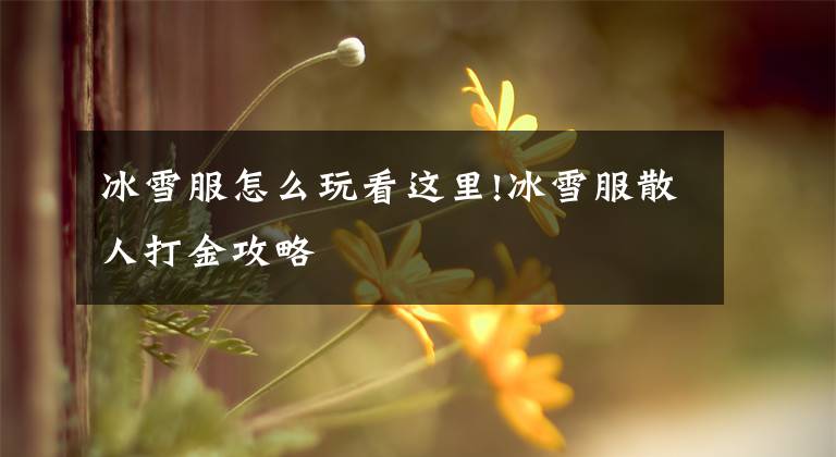 冰雪服怎么玩看这里!冰雪服散人打金攻略